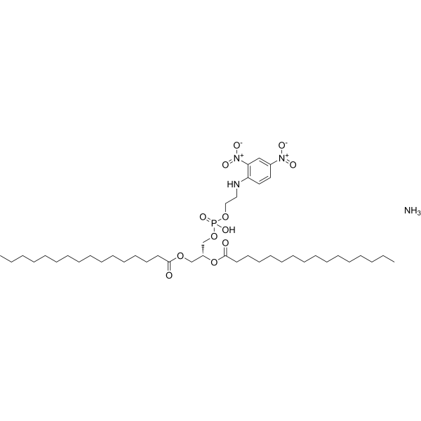 16:0 DNP PE 474943-09-4